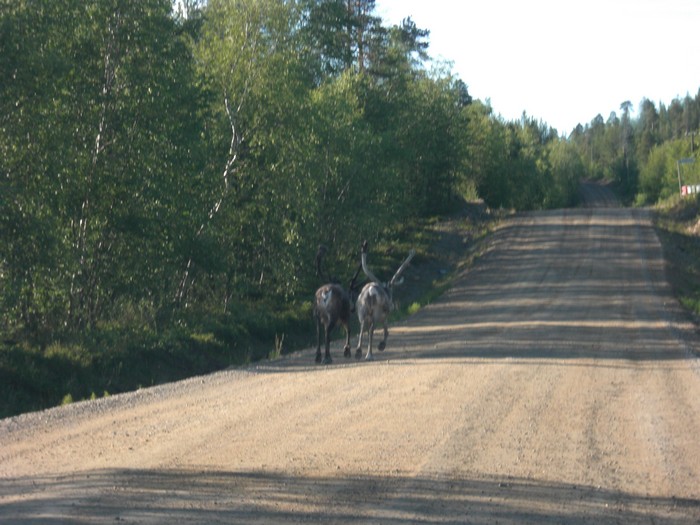 nordkap